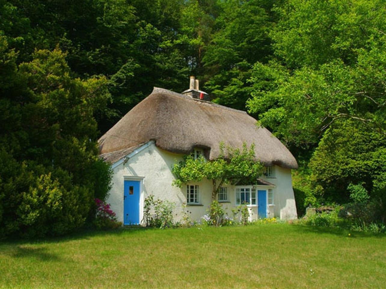 Lew Quarry Cottage Lewdown Exteriör bild